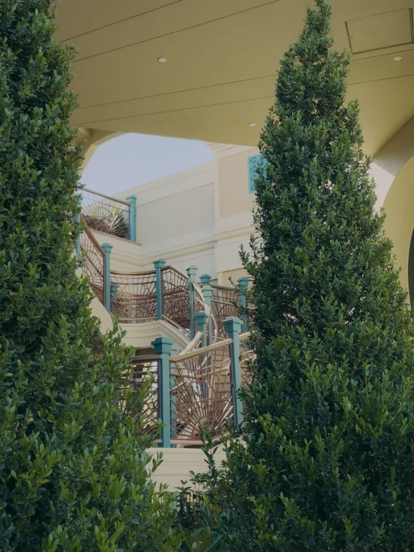 Con el preset BBP 303 · Highlight Fade