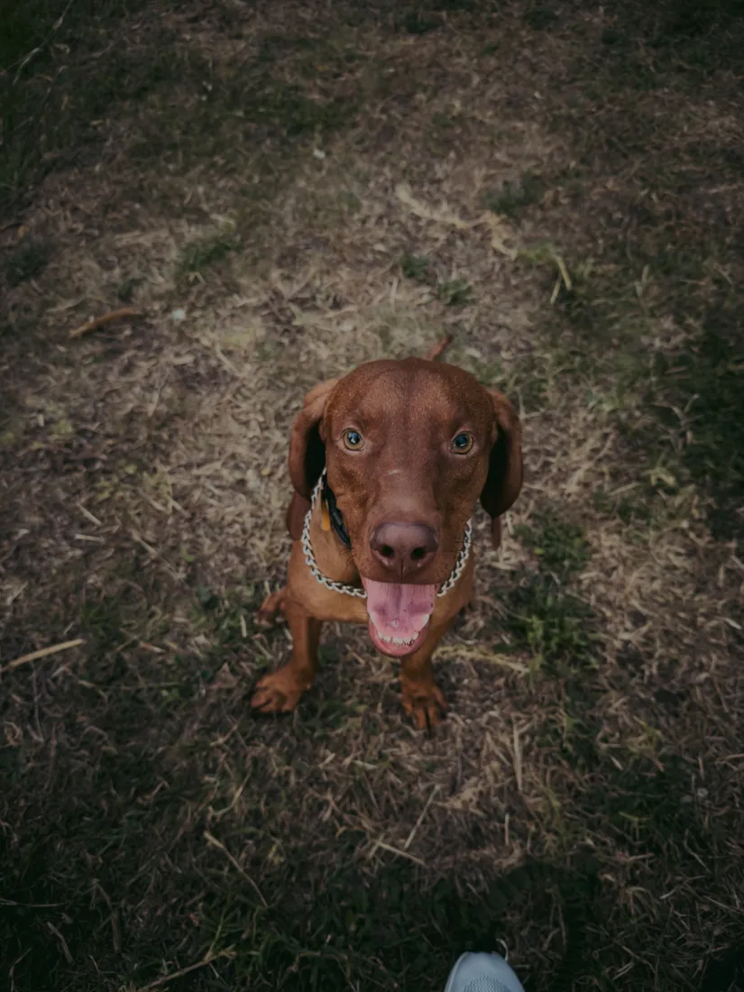 Con el preset BBP 305 · Deep Shadow