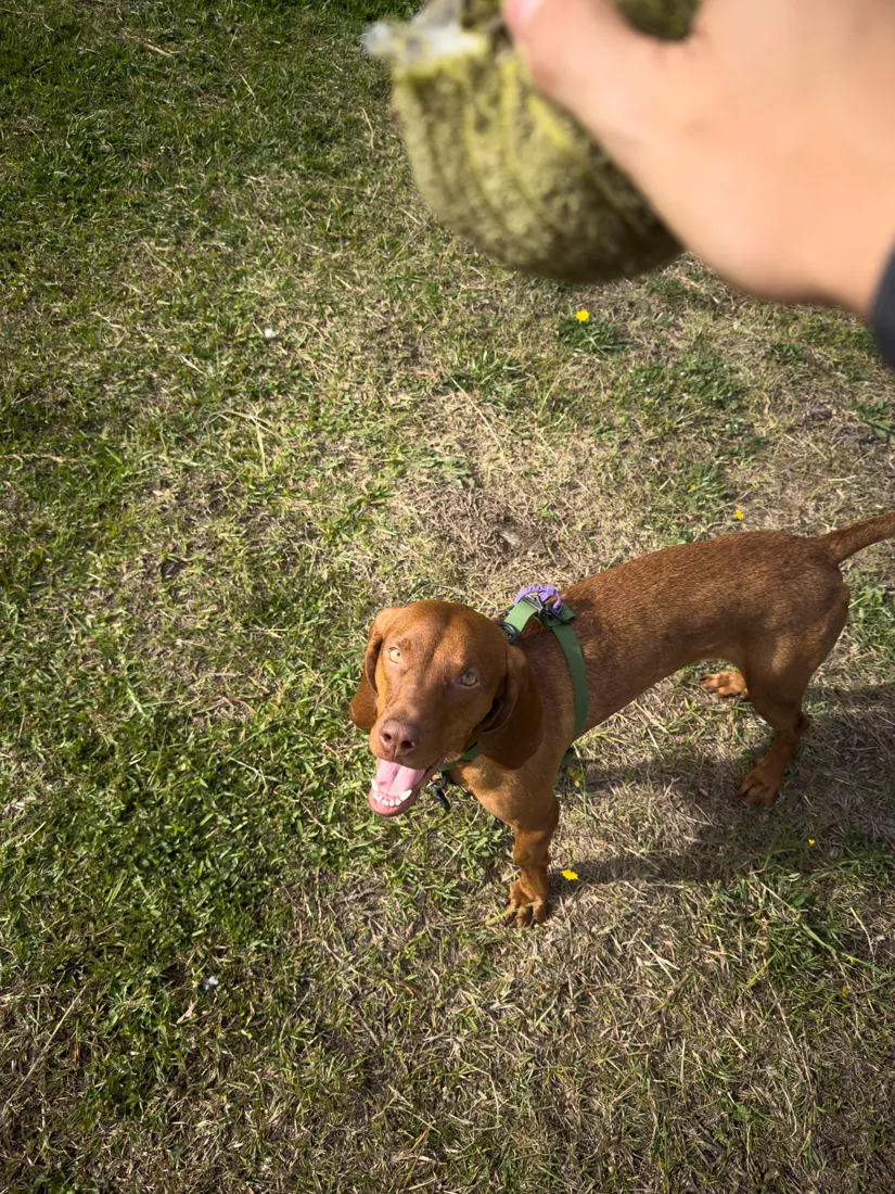 Foto original, sin preset